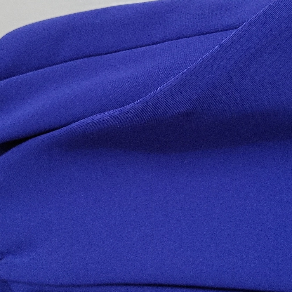 Express Royal Blue Women's Trousers - Picture 4 of 10